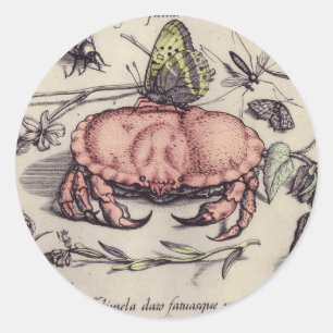 Krabben-Botanische-Insekten-Blumen-Illustration Runder Aufkleber