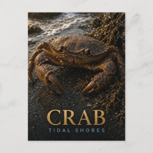 Krabben-Gezeitenufer-Wildlife-TIER Postkarte