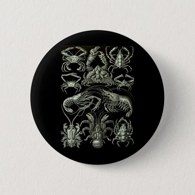 Krabben u. Hummer Button (Vorderseite)