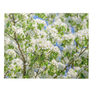 Krabbenapfelblüte Notizblock