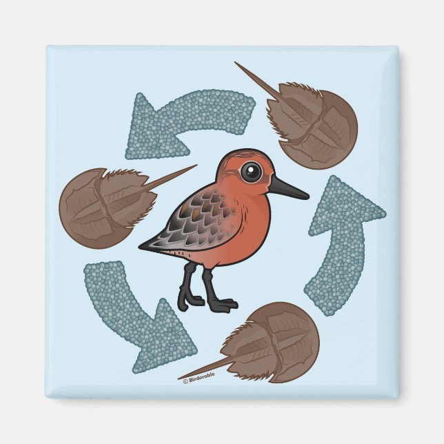 Krabbenknochen Magnet (Vorne)