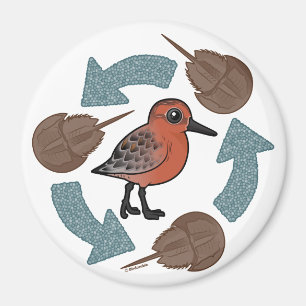 Krabbenknochen Magnet