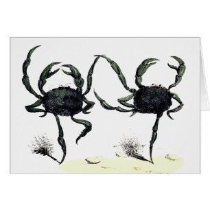 Krabbentango tanzen niedliche Vintage Sommerkrebse