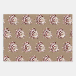 Kraft Paper Wasserfarbe Muscheln am Meeresufer Geschenkpapier Set