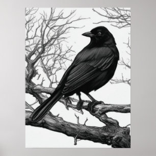 Krähe auf kahlen Winterzweigen sitzend Poster