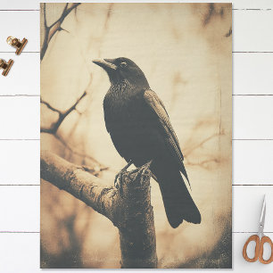 Krähe im Vintage-Stil Decoupage Seidenpapier
