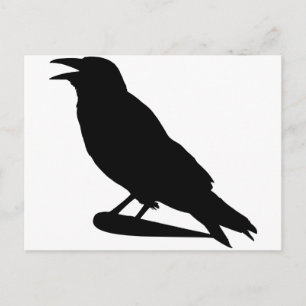 Krähe Postkarte