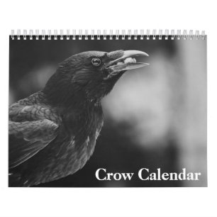 Krähe Rabe 2026 Kalender