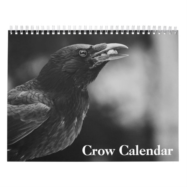 Krähe Rabe 2026 Kalender (Titelbild)