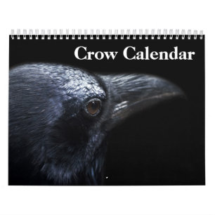 Krähe Rabe 2027 Kalender