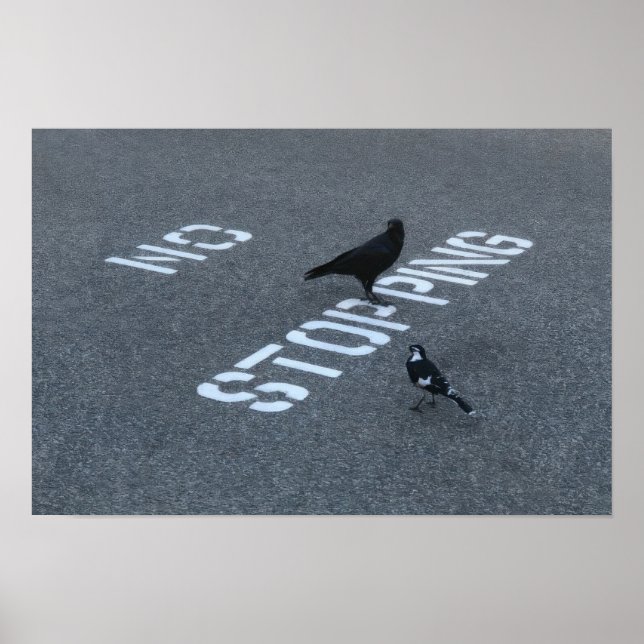 Krähe und Elster Poster (Vorne)