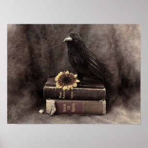 Krähe Vintage Gothic Alte Bücher Sonnenblume Poster