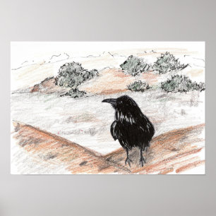 Krähe Vogel Wüstenlandschaft Rote Felsen Natur Poster