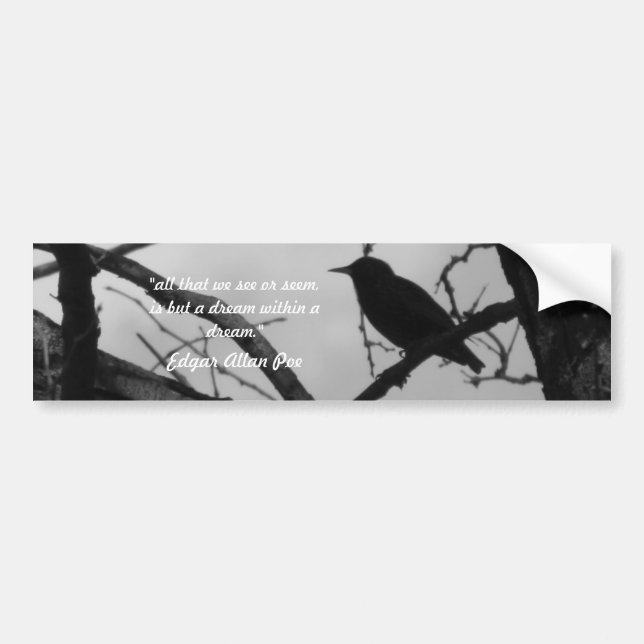 Krähen-Autoaufkleber Autoaufkleber (Vorne)