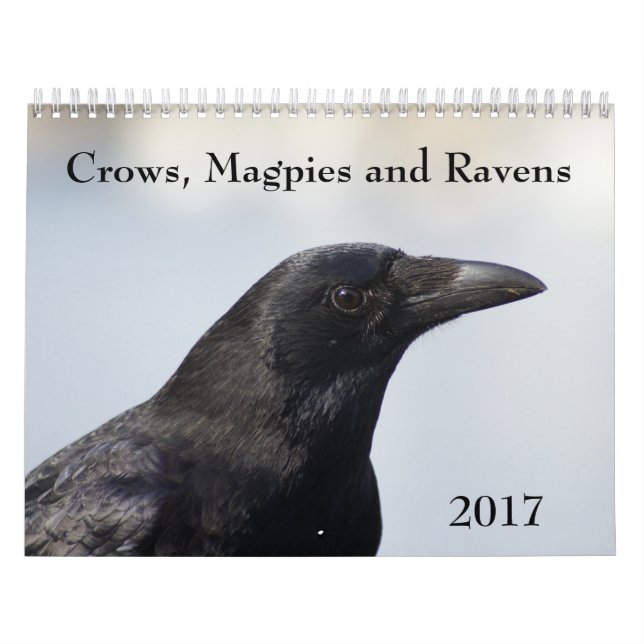 Krähen, Magpies und Ravens 2017 Kalender (Titelbild)