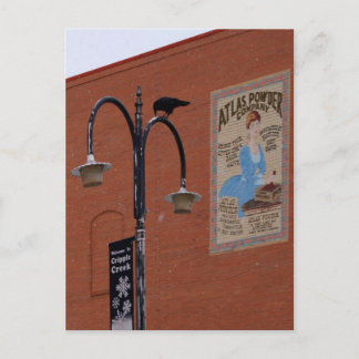 Krähen und Dynamit Postkarte