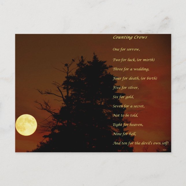 Krähen zählen postkarte (Vorderseite)