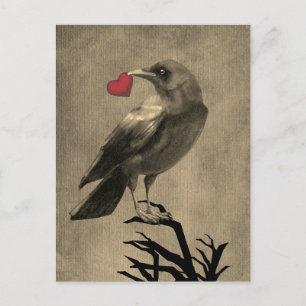 Krähenliebe Leere Postkarte