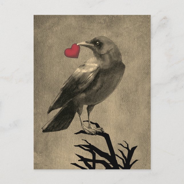 Krähenliebe Leere Postkarte (Vorderseite)