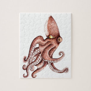 Krake - Octopus vulgaris Puzzle