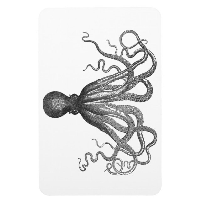 Kraken - Black Giant Octopus / Cthulu Magnet (Vertikal)
