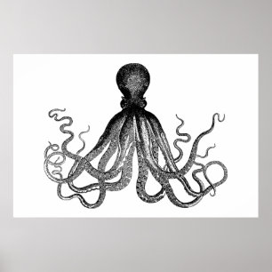 Kraken - Black Giant Octopus (extra large) Poster