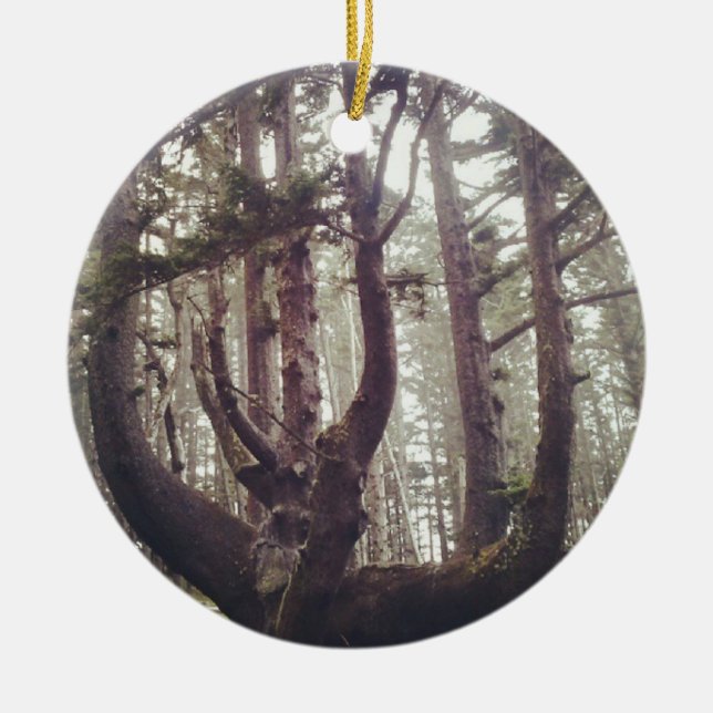 Kraken, Cape Meares, Oregon Keramik Ornament (Vorne)