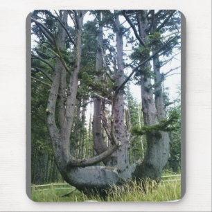 Kraken, Cape Meares, Oregon Mousepad