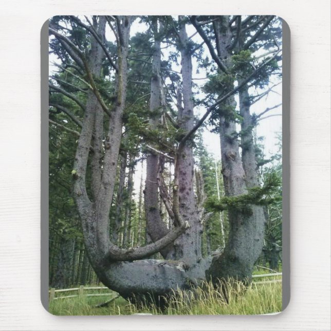 Kraken, Cape Meares, Oregon Mousepad (Vorne)