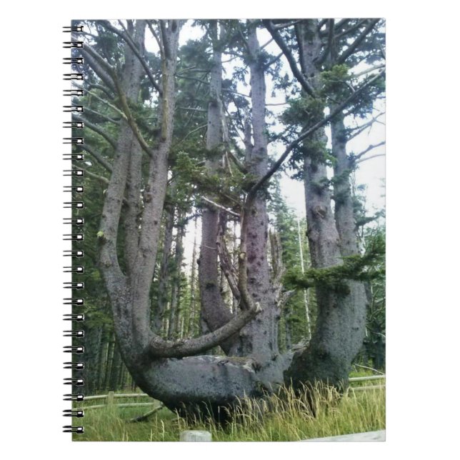 Kraken, Cape Meares, Oregon Notizblock (Vorderseite)