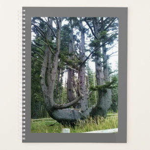 Kraken, Cape Meares, Oregon Planer