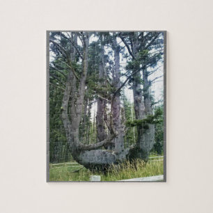 Kraken, Cape Meares, Oregon Puzzle