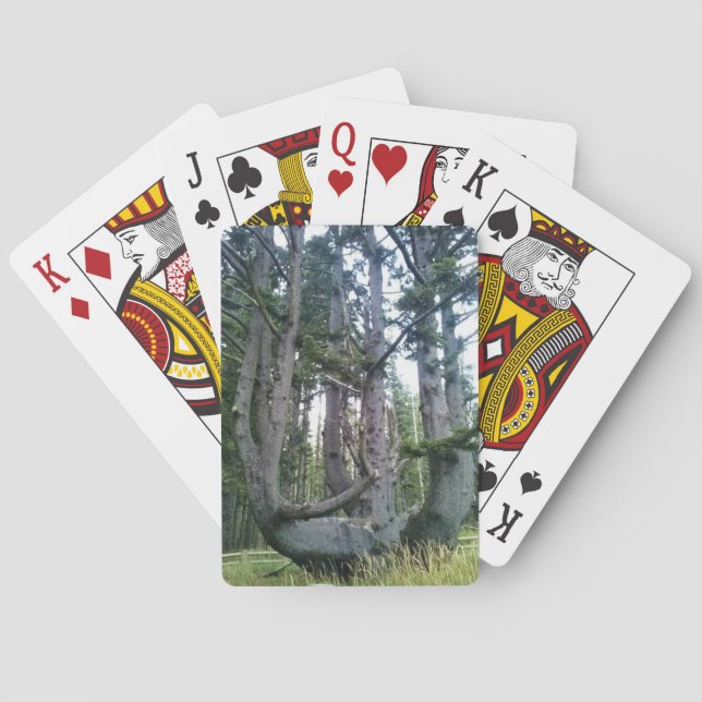 Kraken, Cape Meares, Oregon Spielkarten (Rückseite)