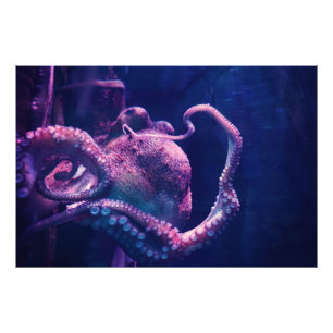 Kraken Fotodruck