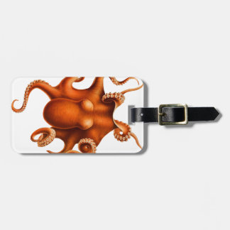 Kraken-Illustration (addieren Sie Namen und Info) Gepäckanhänger