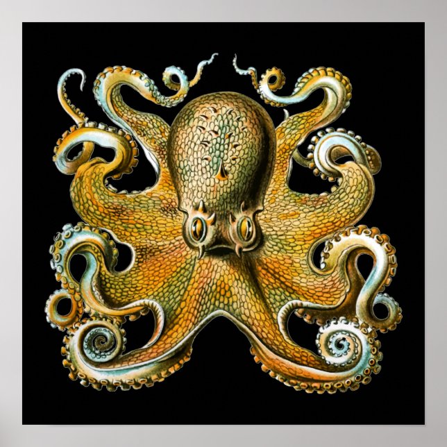 Kraken Octopus | Cooles Tier Poster (Vorne)