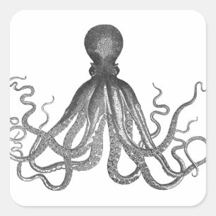 Kraken - Schwarzer Riesen-Oktopus / Cthulu Quadratischer Aufkleber