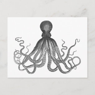 Kraken - Schwarzer Riesenkopus / Cthulu Postkarte