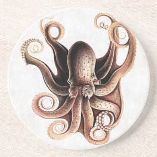 Kraken-Untersetzer Getränkeuntersetzer