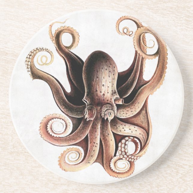 Kraken-Untersetzer Getränkeuntersetzer (Vorne)