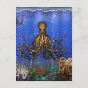 Krakenhöhle - Bunt Postkarte
