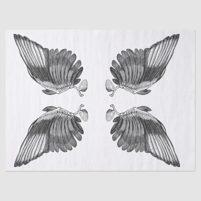 Kram-Zeitschrift Wings Element-Blatt Seidenpapier (Vorderseite)