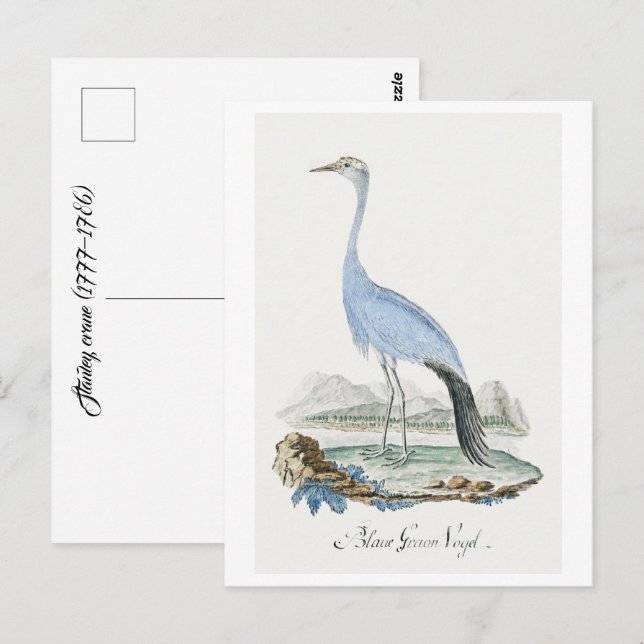 Kran von Stanley (1777-1786) Postkarte (Vorne/Hinten)