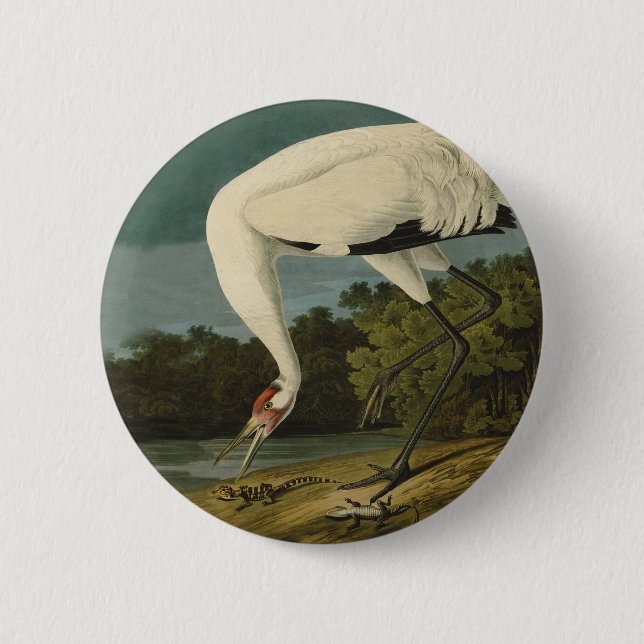 Krane Audubon Vogelmalerei Button (Vorderseite)