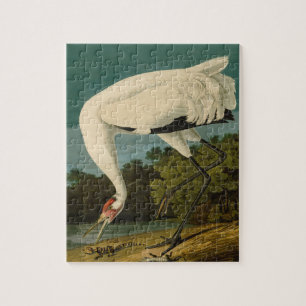 Krane Audubon Vogelmalerei Puzzle