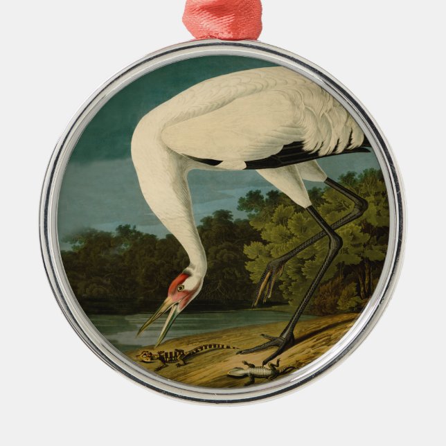 Krane Audubon Vogelmalerei Silbernes Ornament (Vorne)