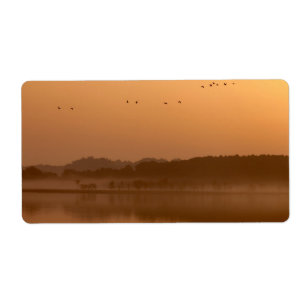 Krane bei Sonnenaufgang