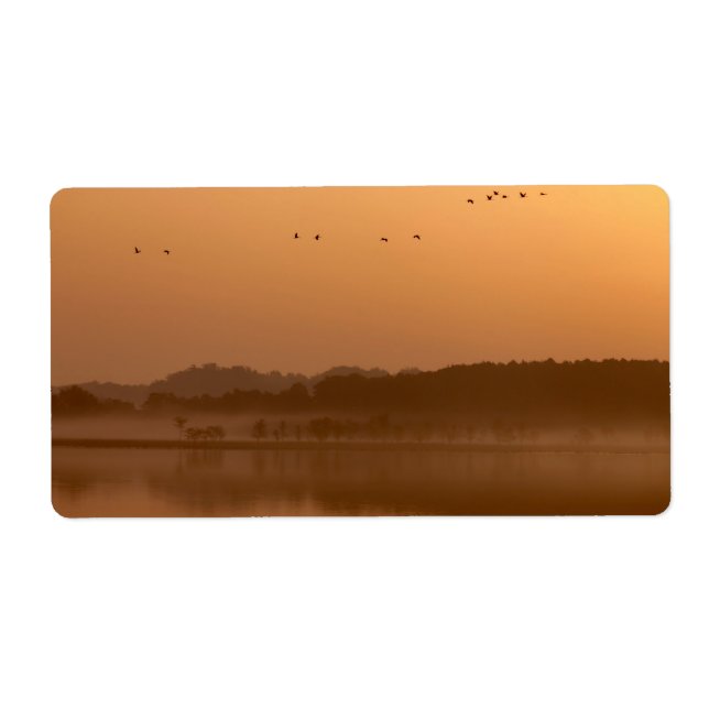 Krane bei Sonnenaufgang (Vorne)