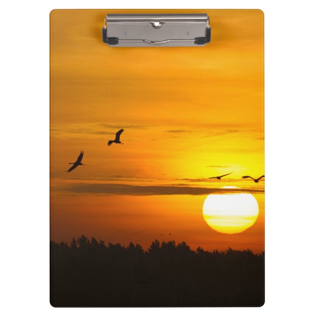 Krane bei Sonnenaufgang Klemmbrett (Vorderseite)