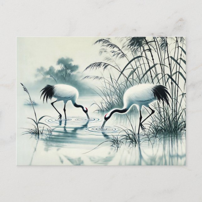 Krane, die in flachem Wasser in Chinesischer Farbe Postkarte (Vorderseite)